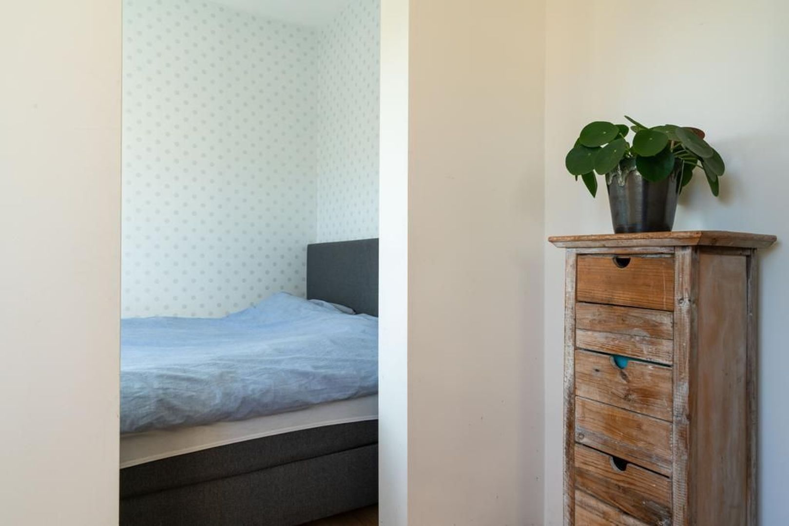 Jan van Houtstraat 122