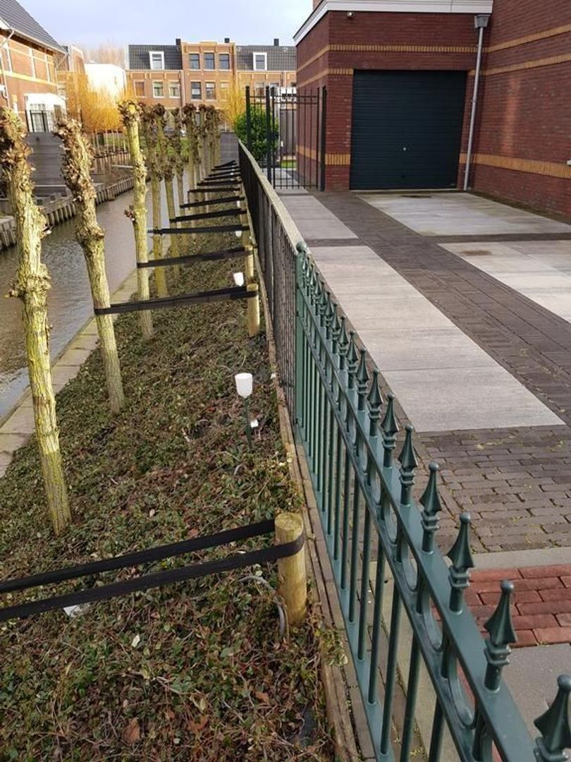 Octavio Pazlaan 15 .