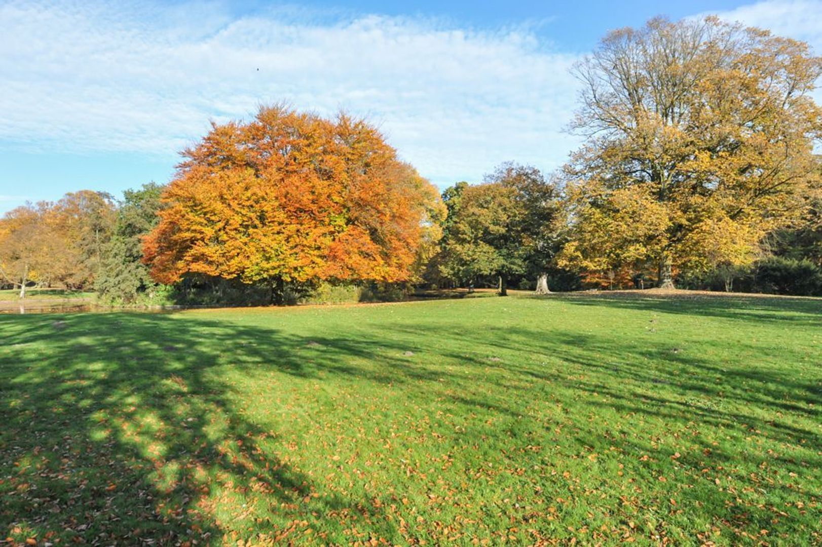 Laan van Clingendael 38 .