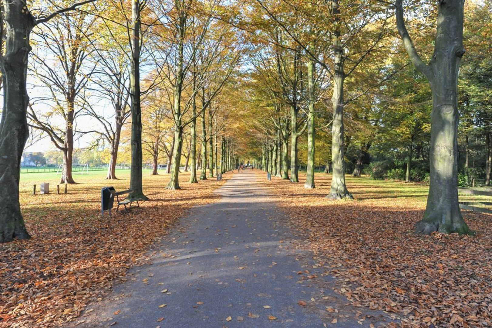 Laan van Clingendael 38 .