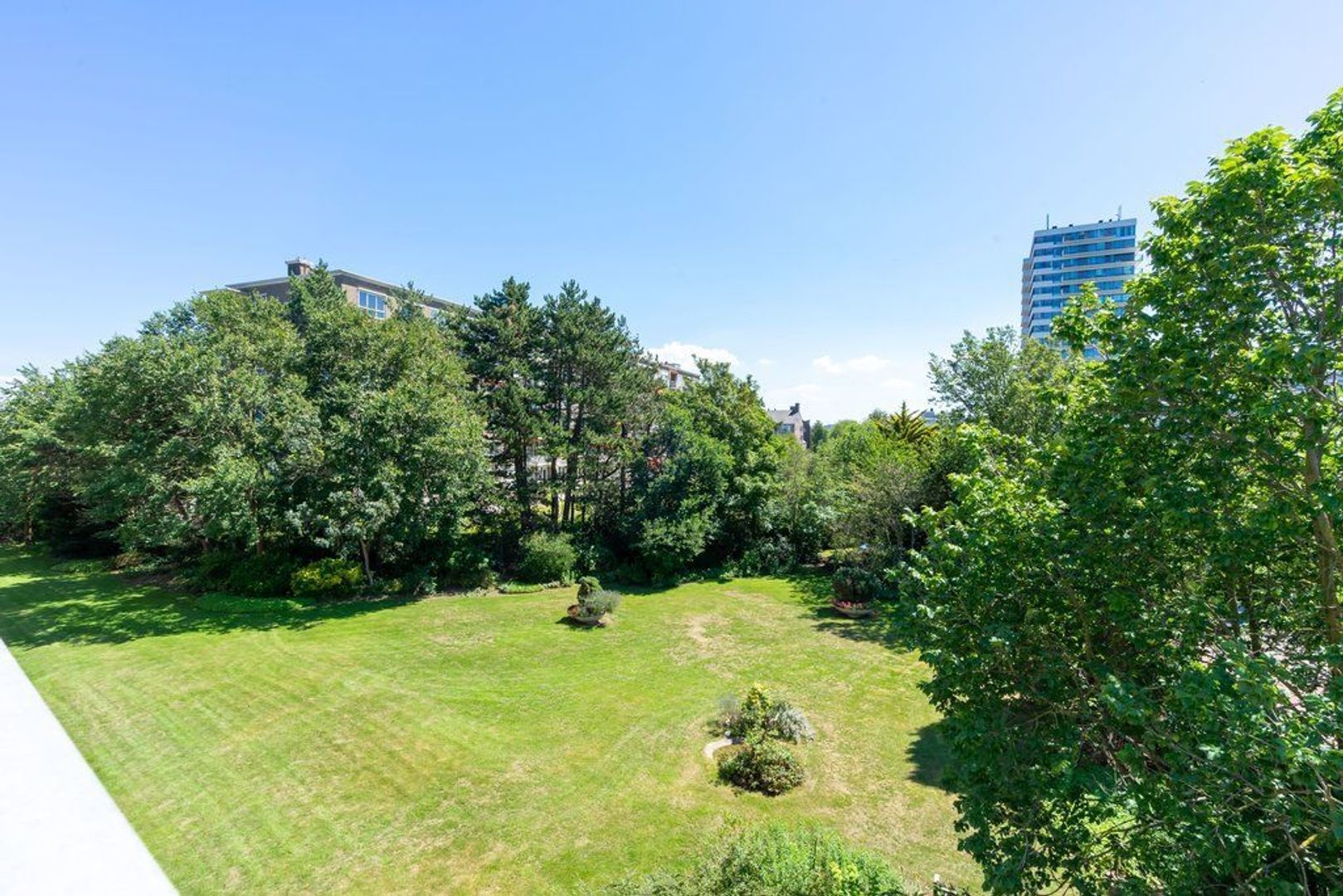 De Savornin Lohmanlaan 15