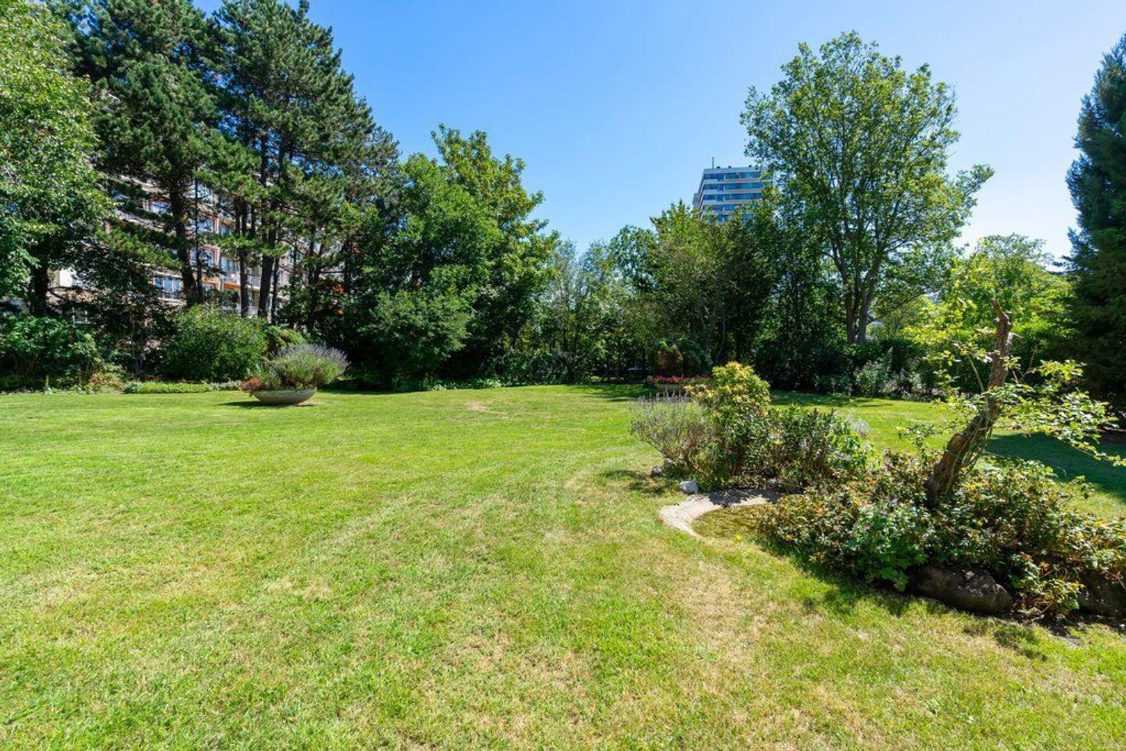 De Savornin Lohmanlaan 15