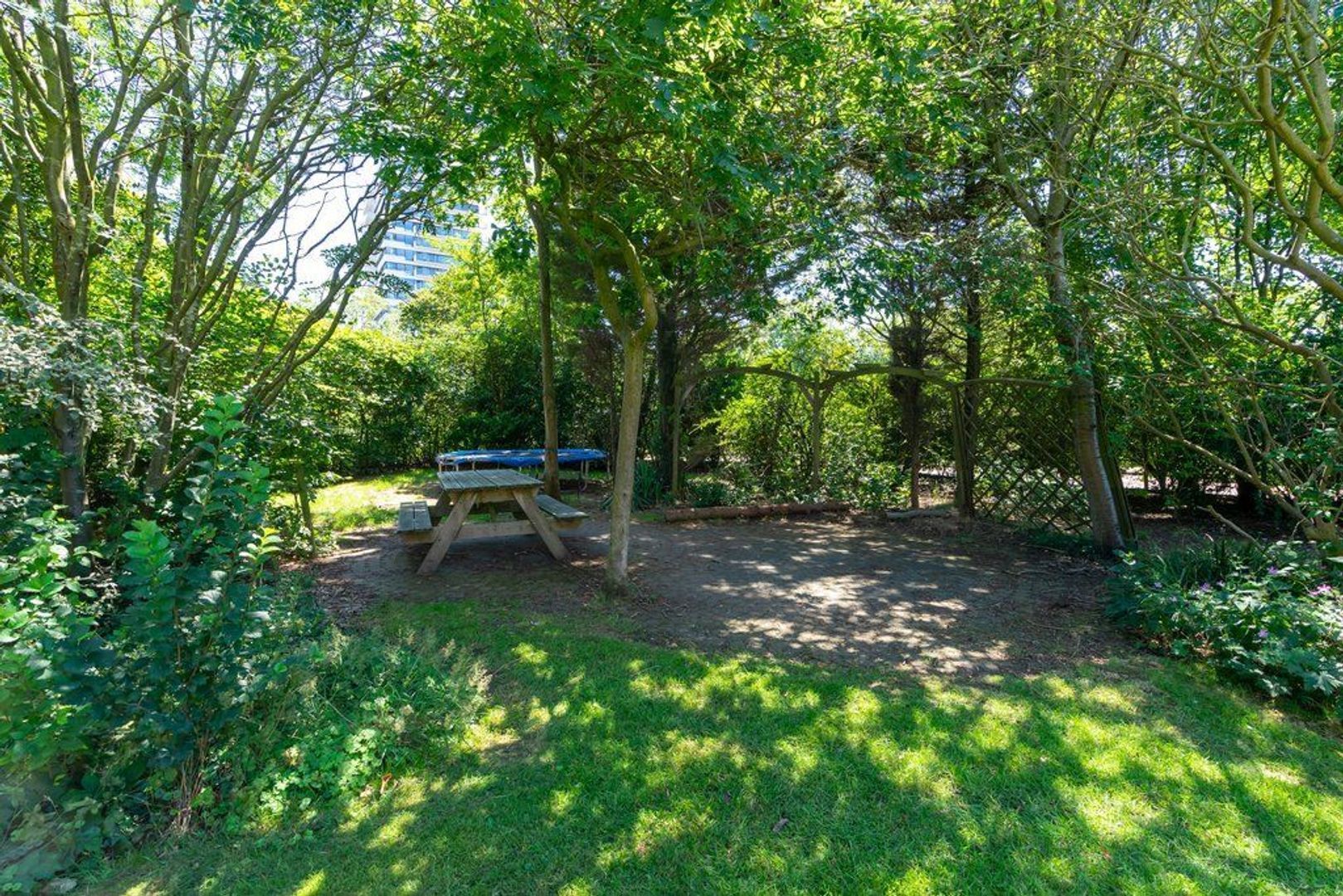 De Savornin Lohmanlaan 15