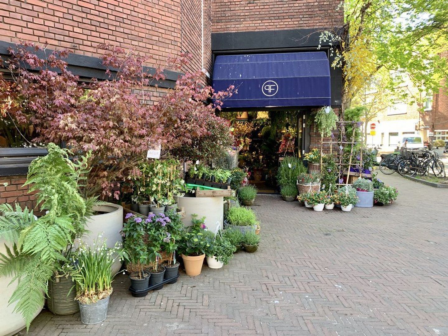 Weissenbruchstraat 288 .