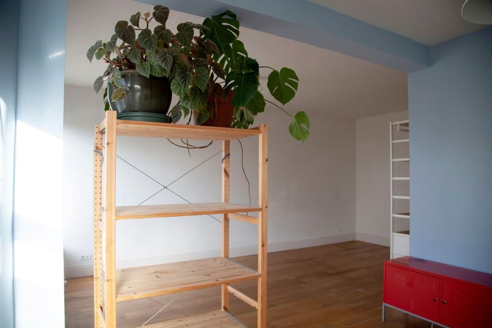 Kamperfoeliestraat 227 .