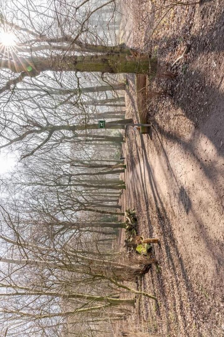 Cees Laseurlaan 1095