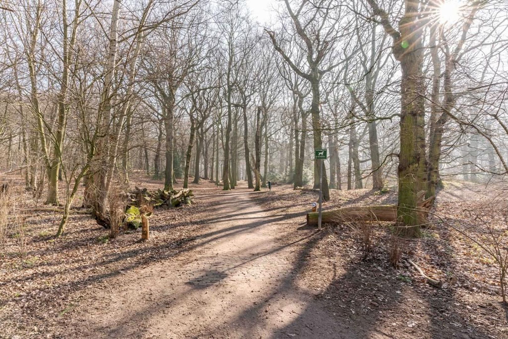 Cees Laseurlaan 1041