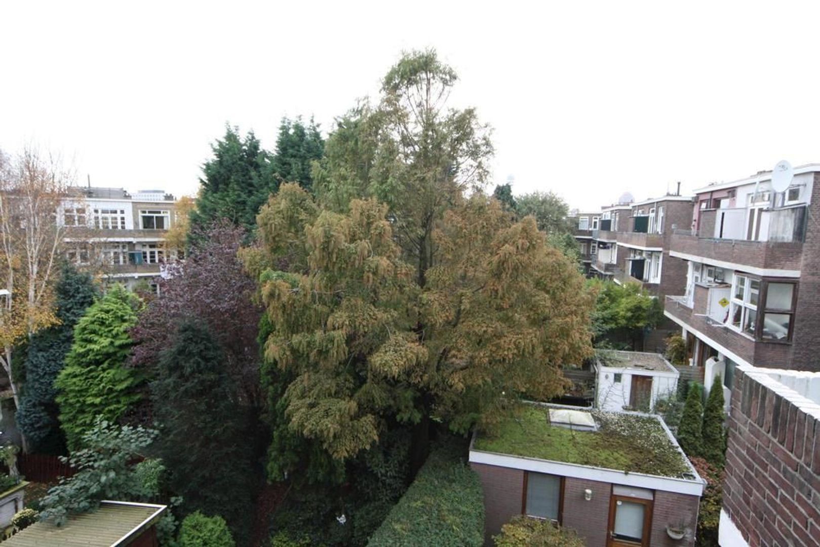 Van Heutszstraat 55 .