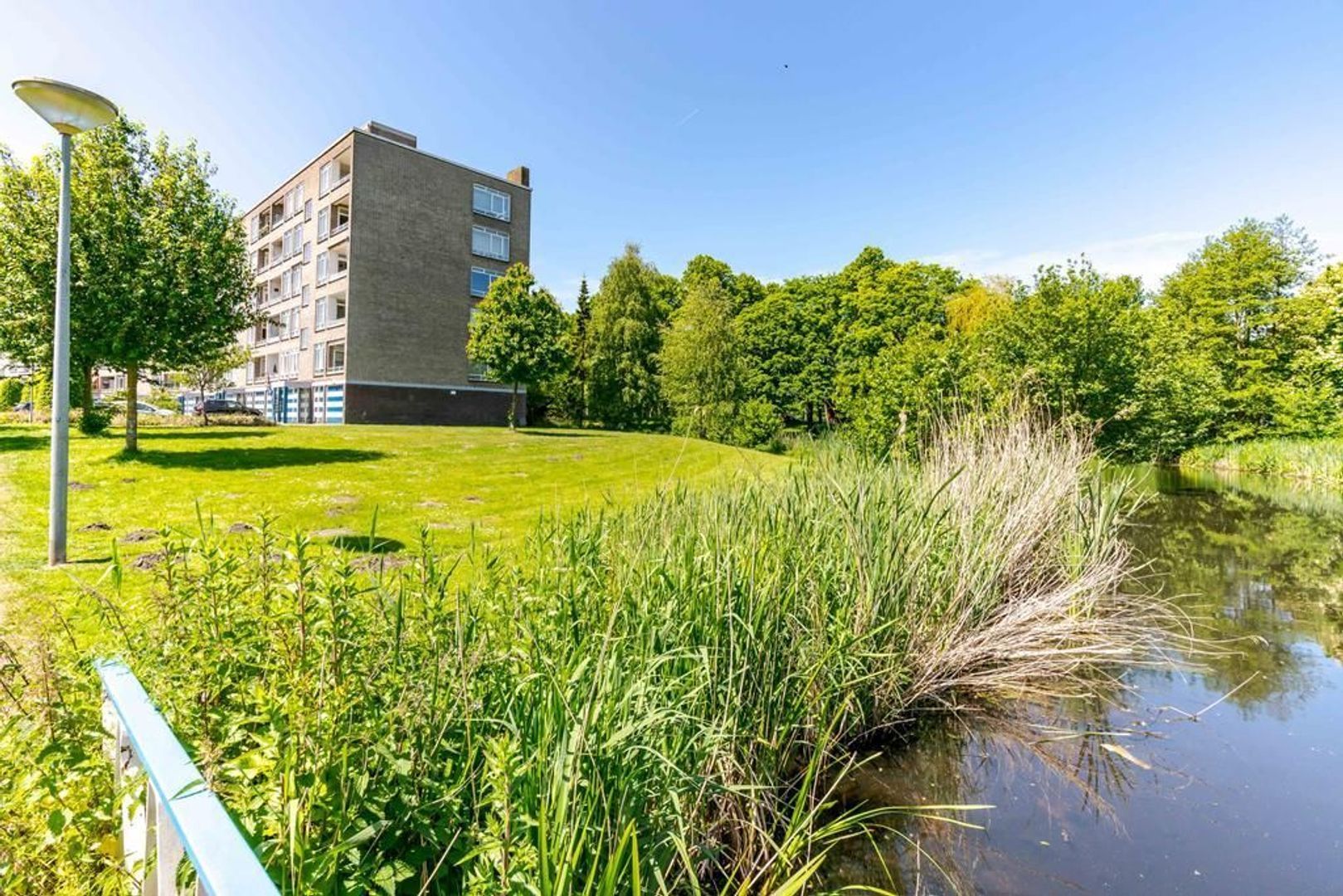 Barnsteenhorst 398 .