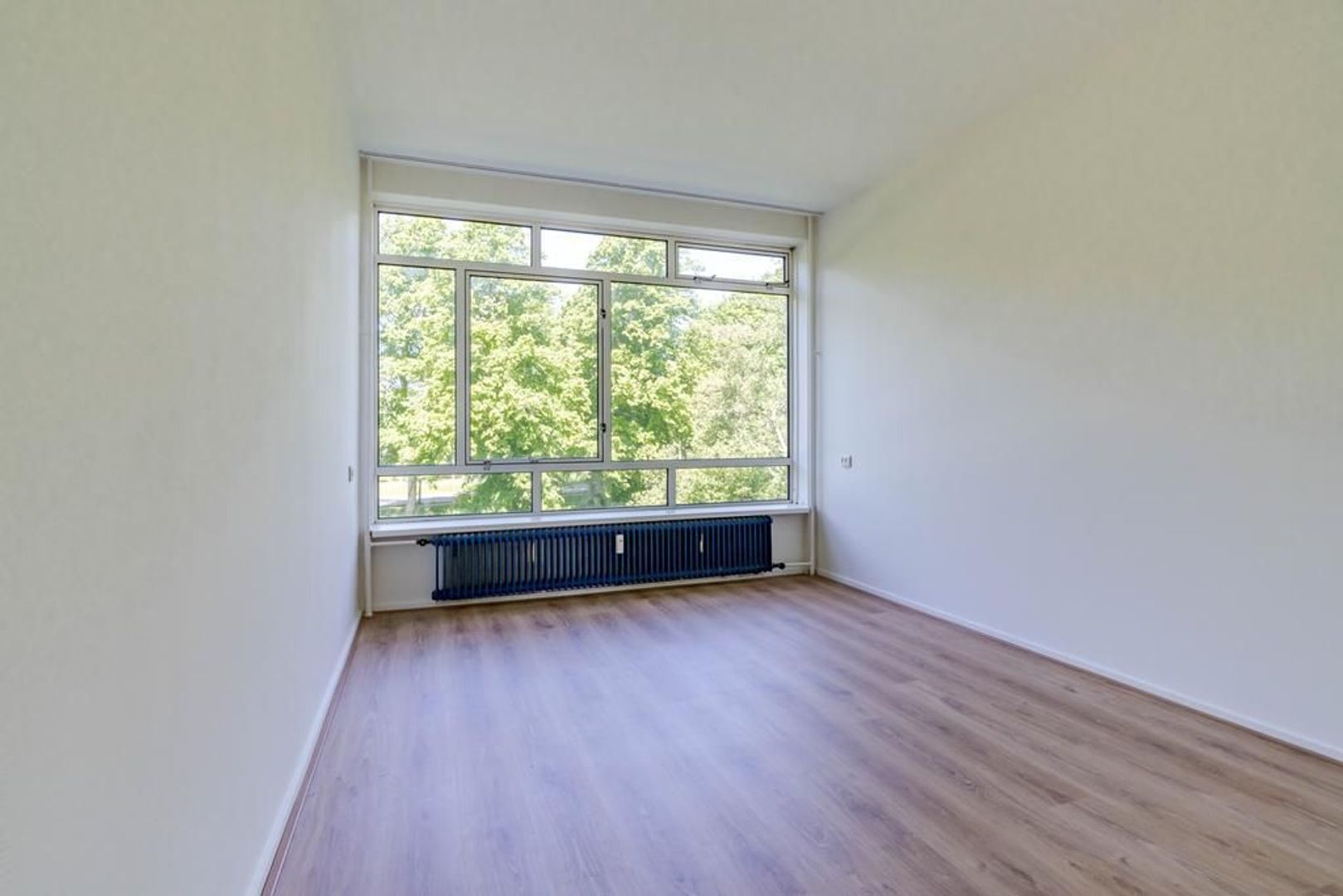 Barnsteenhorst 398 .