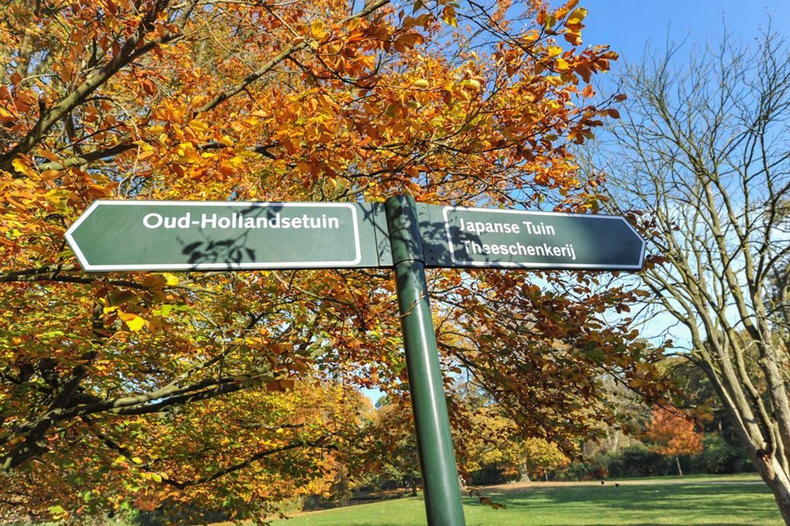 Laan van Clingendael 39