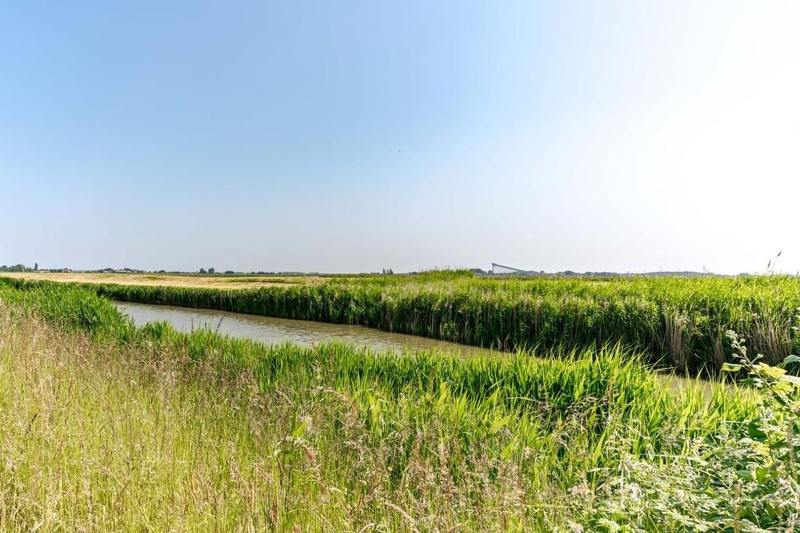 Aalscholveroever 8 .