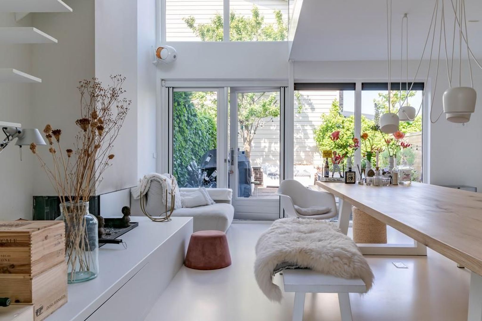 Aalscholveroever 8 .