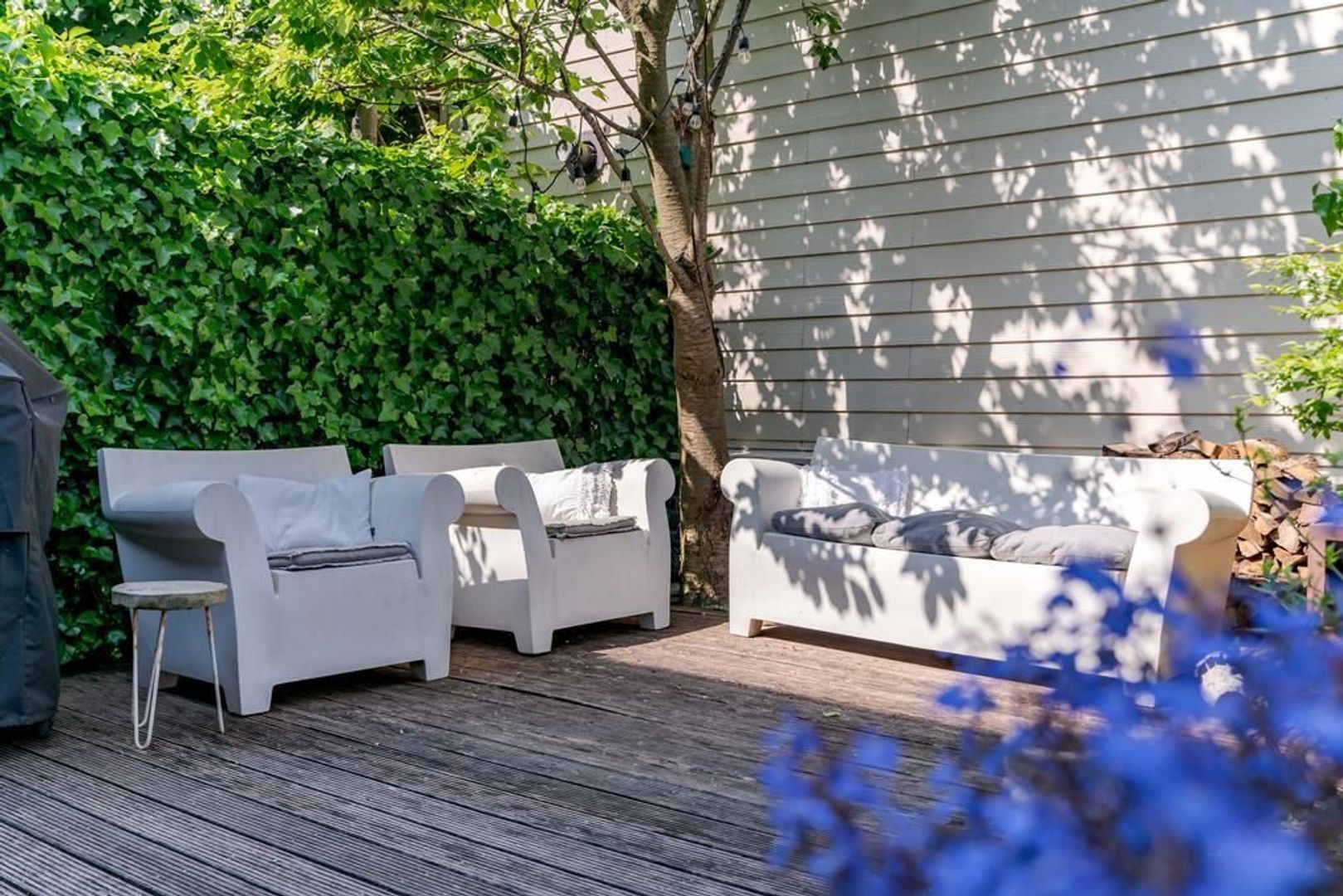 Aalscholveroever 8 .