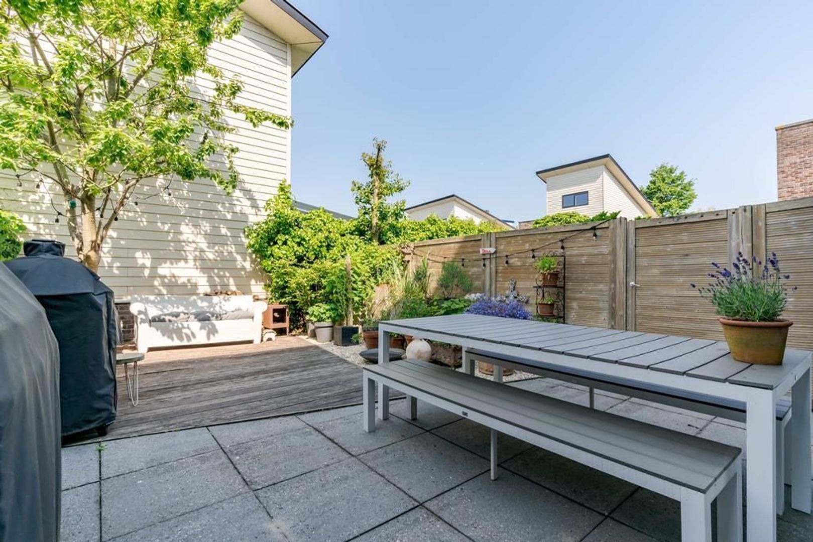 Aalscholveroever 8 .