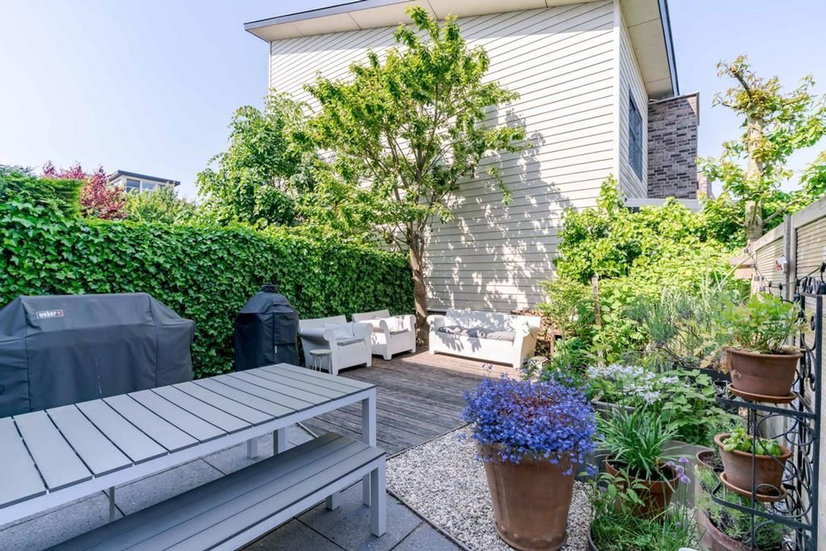 Aalscholveroever 8 .