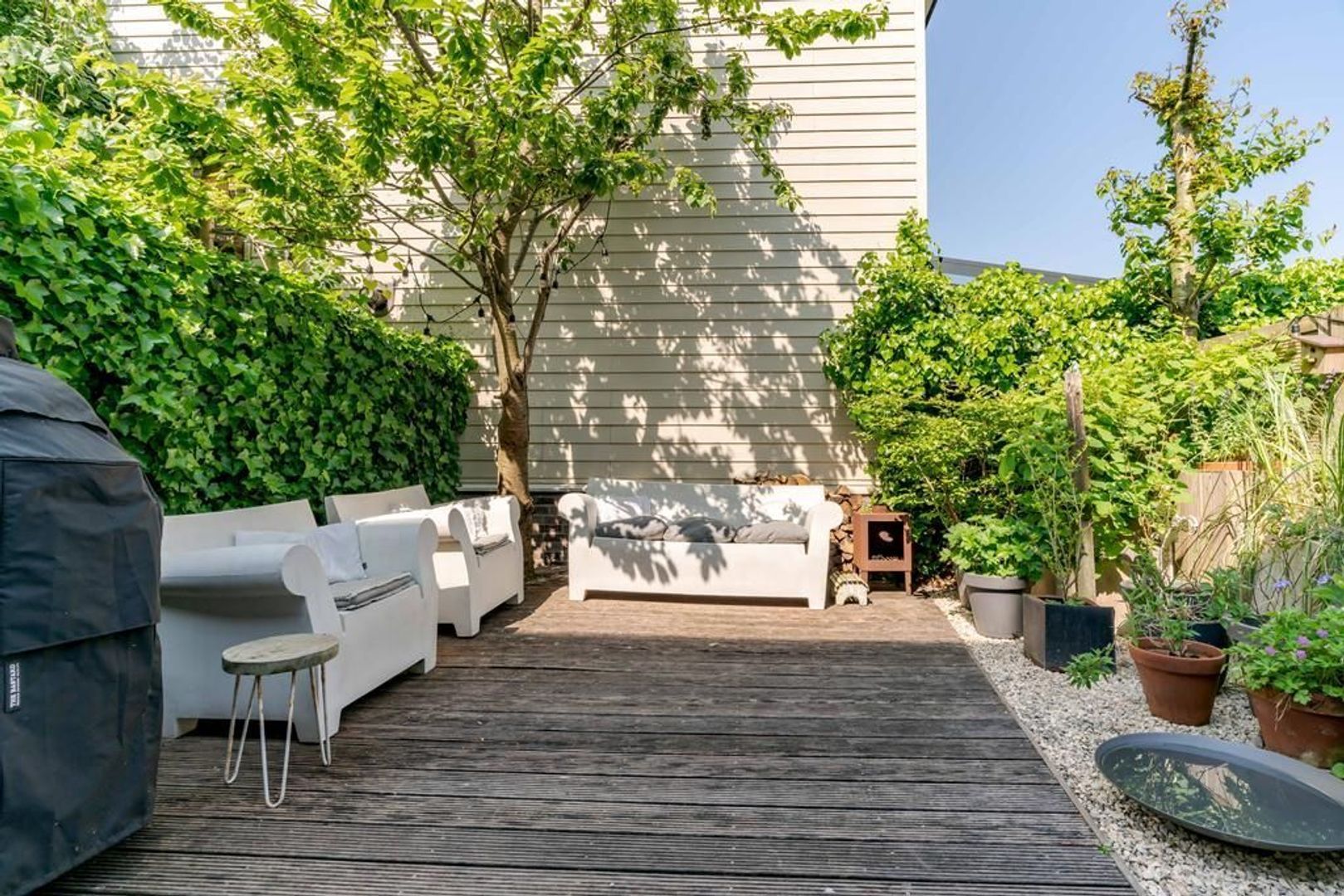 Aalscholveroever 8 .