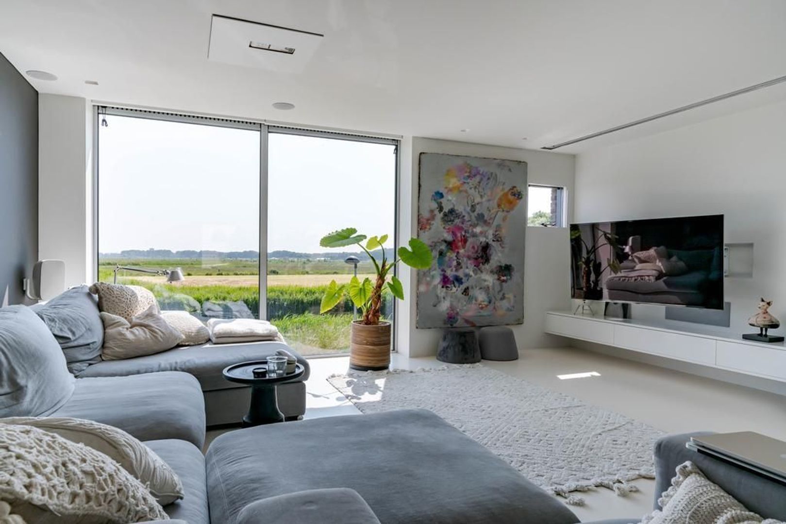 Aalscholveroever 8 .