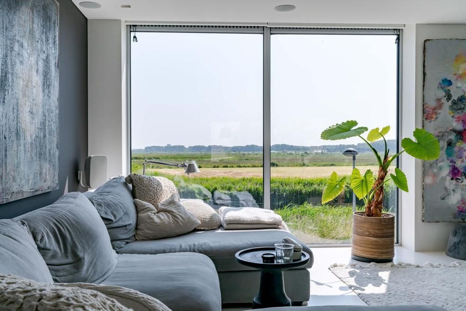 Aalscholveroever 8 .