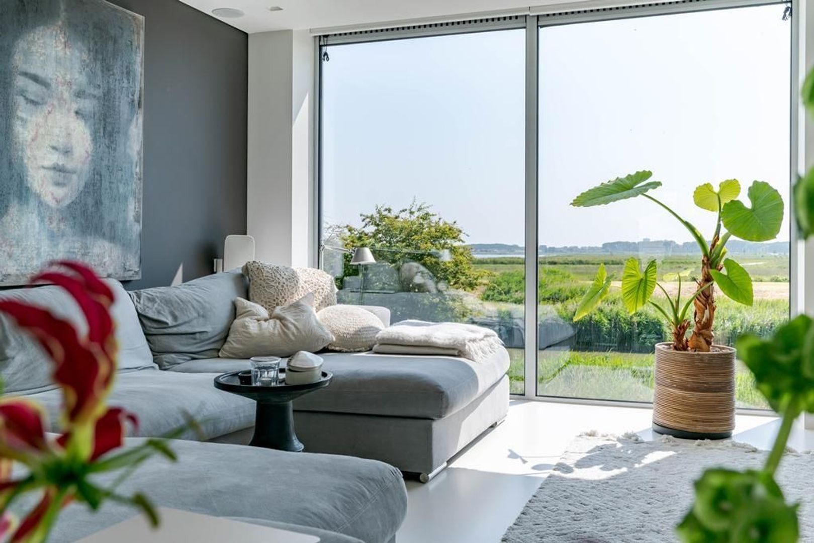 Aalscholveroever 8 .