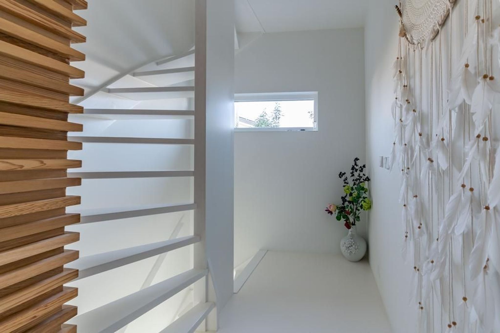 Aalscholveroever 8 .