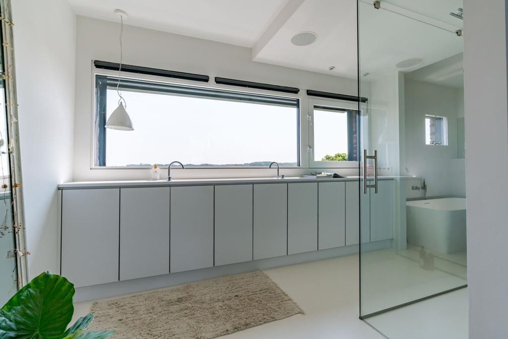 Aalscholveroever 8 .