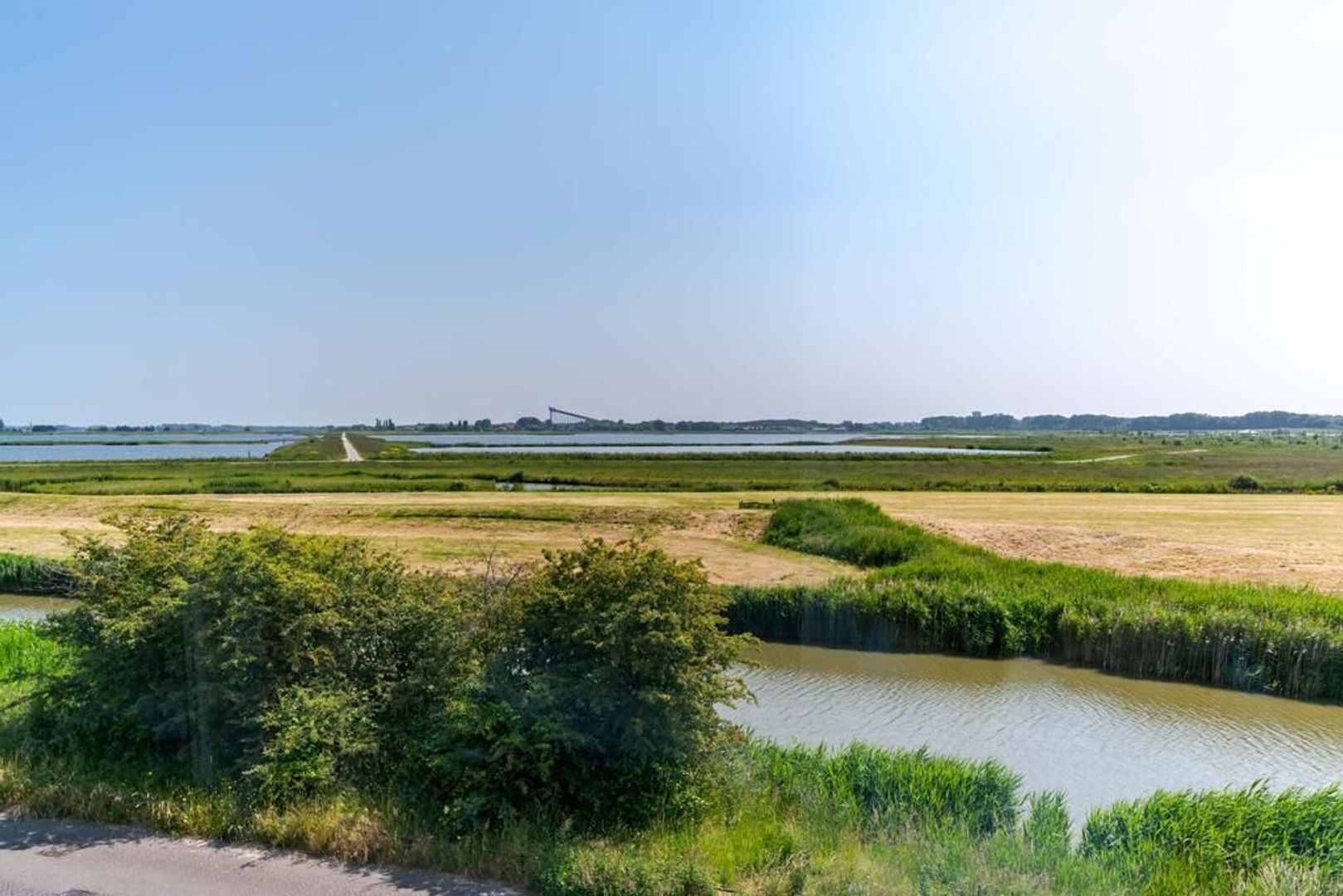 Aalscholveroever 8 .