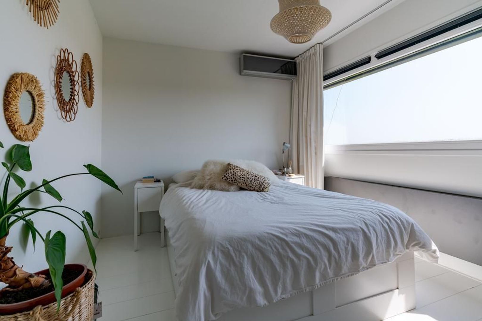 Aalscholveroever 8 .