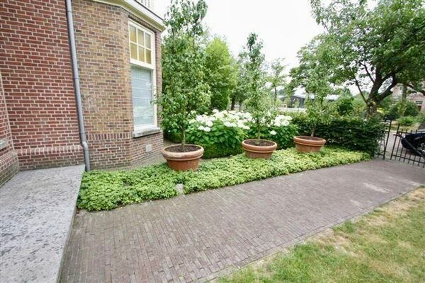 van Vredenburchweg 81 .