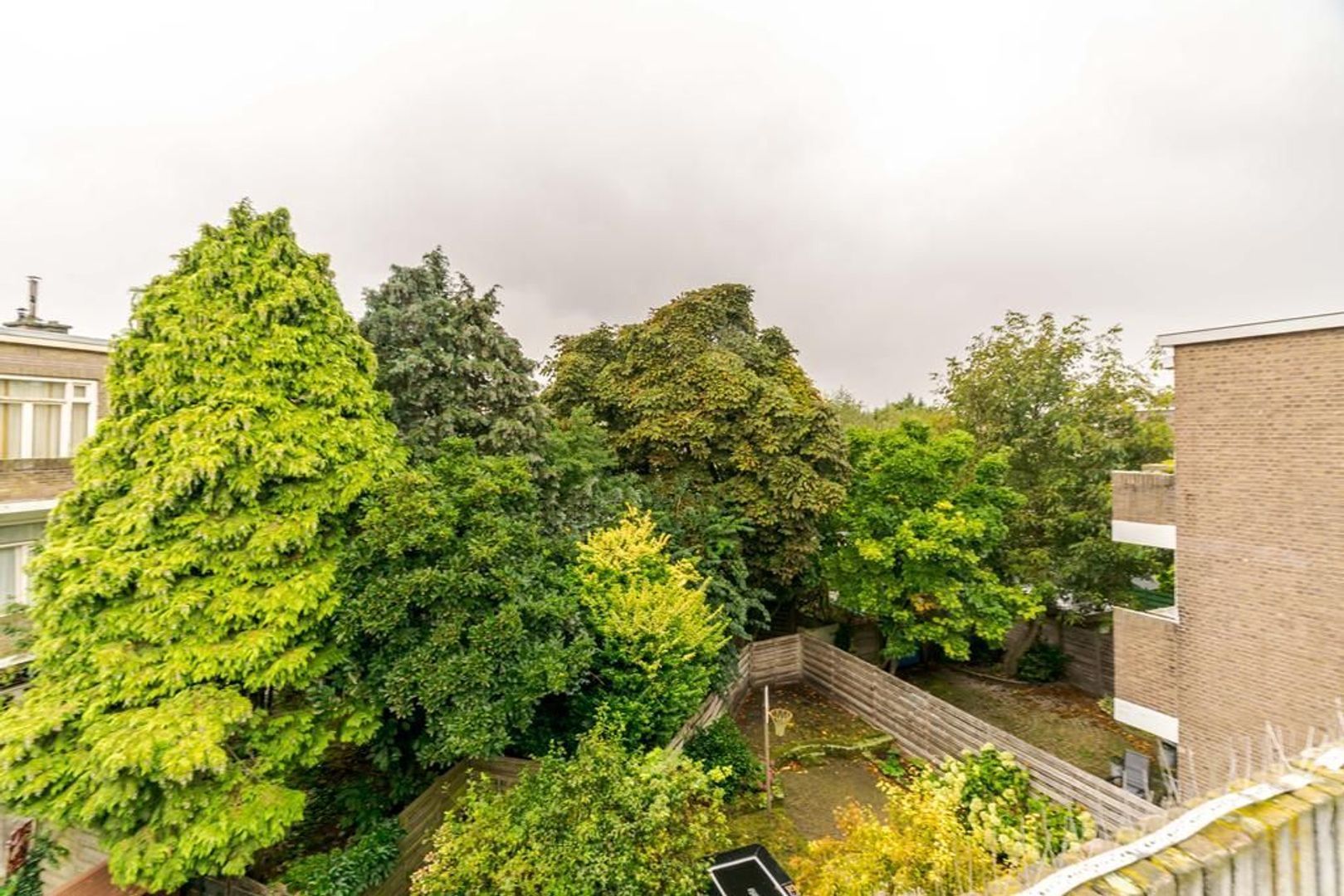 Van Heutszstraat 107 A.