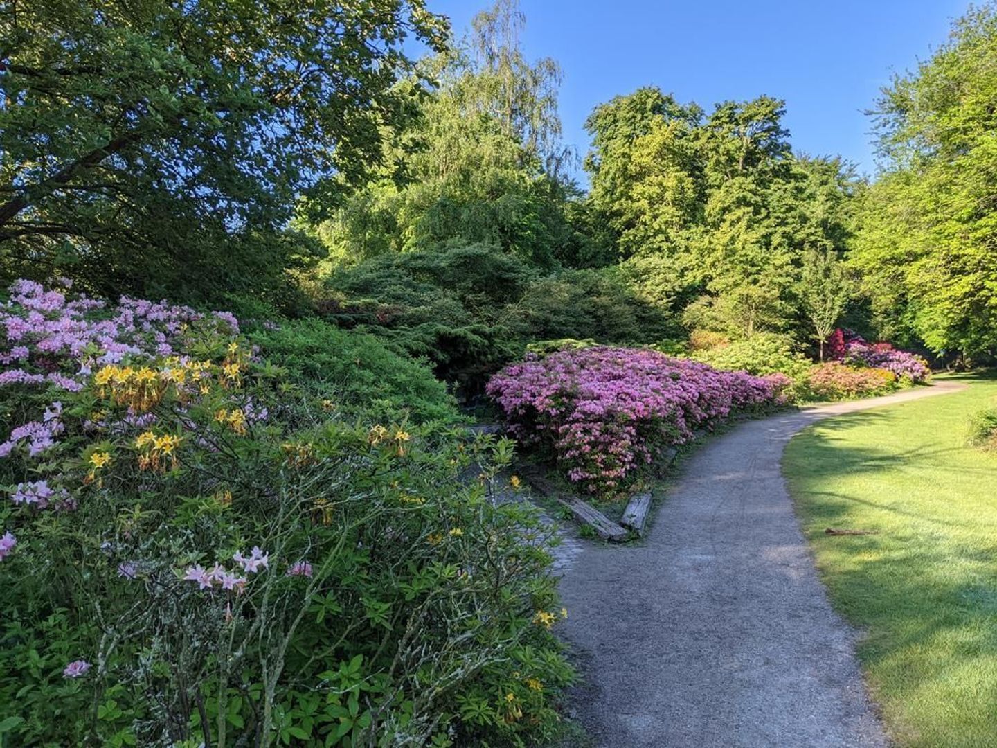 Van der Houvenstraat 9