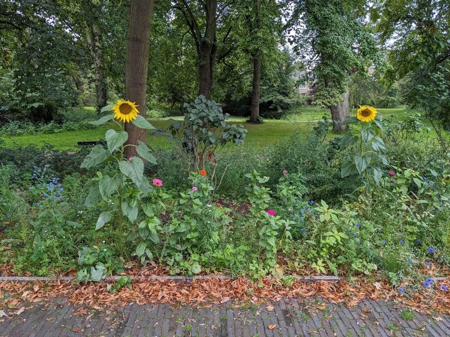 Van der Houvenstraat 9