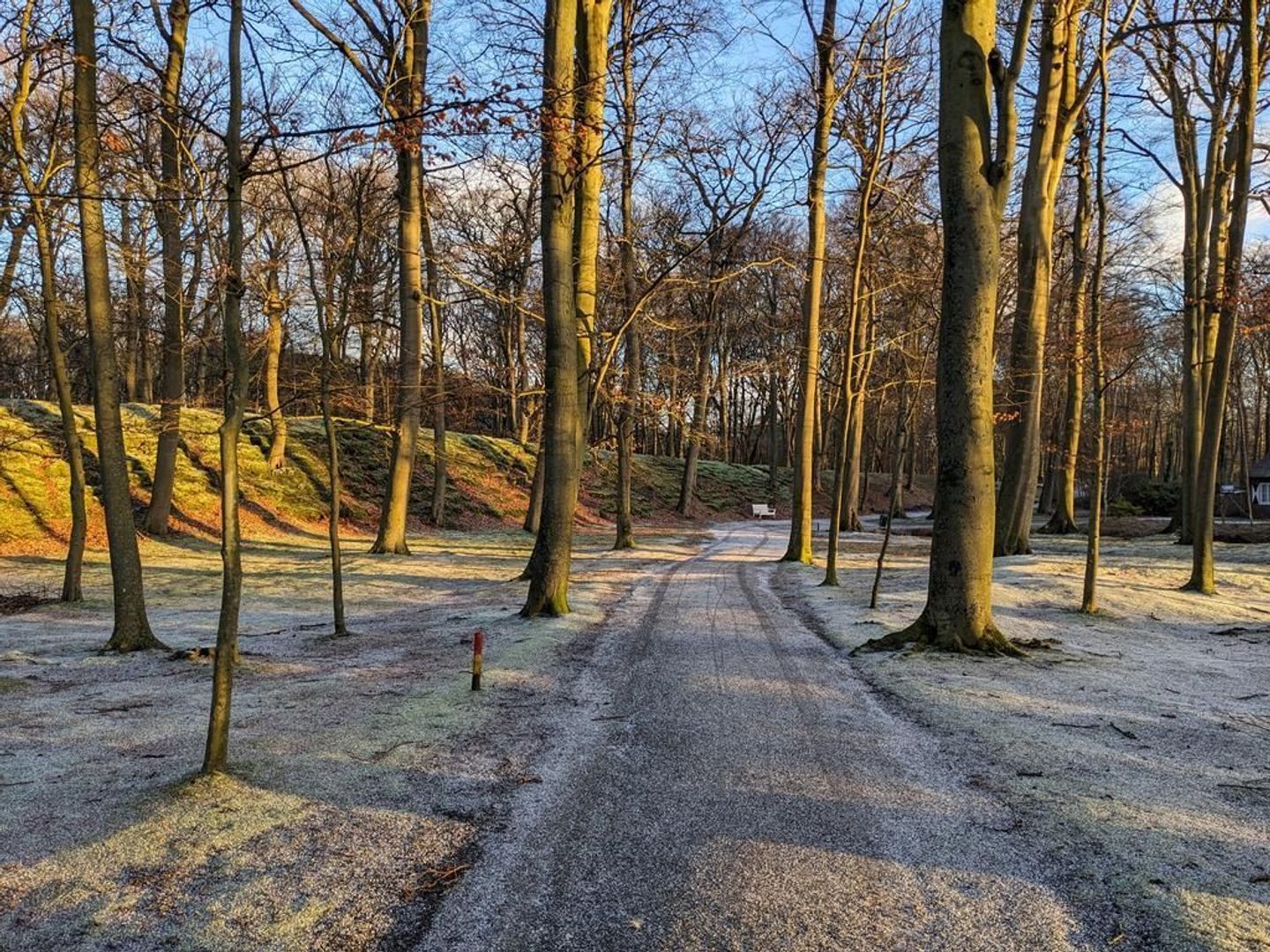 Van der Houvenstraat 9