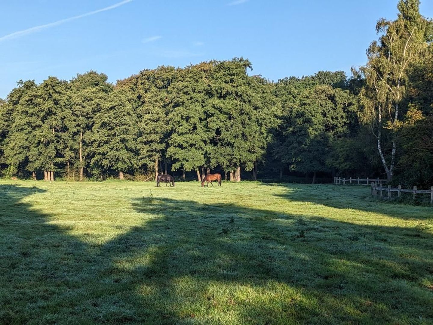 Van der Houvenstraat 9