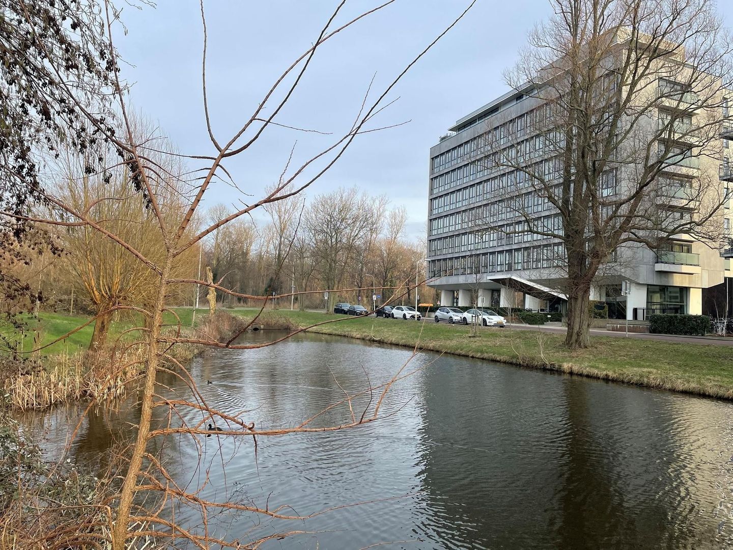 Stadhoudersplantsoen 2 Q.