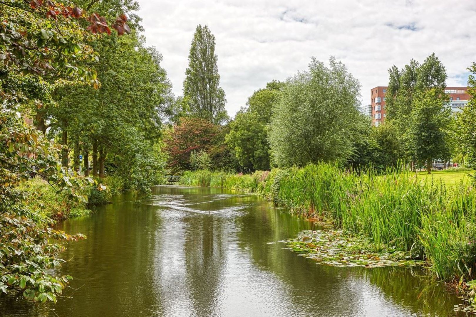 Stadhoudersplantsoen 2 Q.