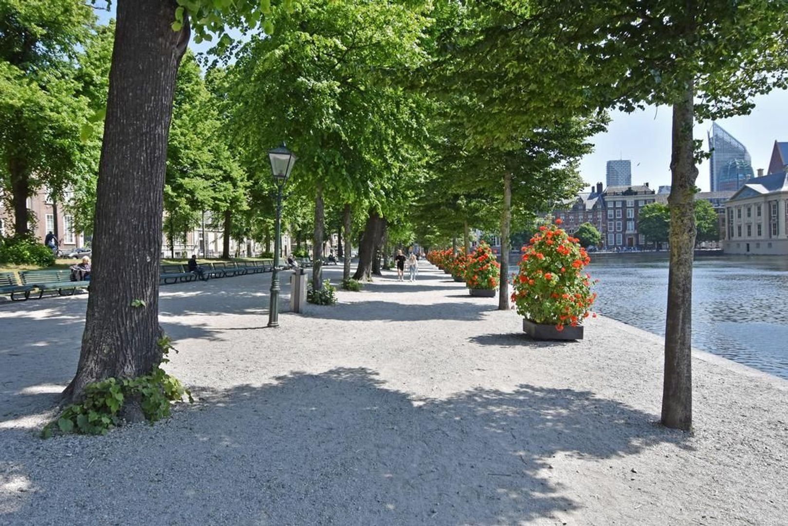 Lange Vijverberg 6 D