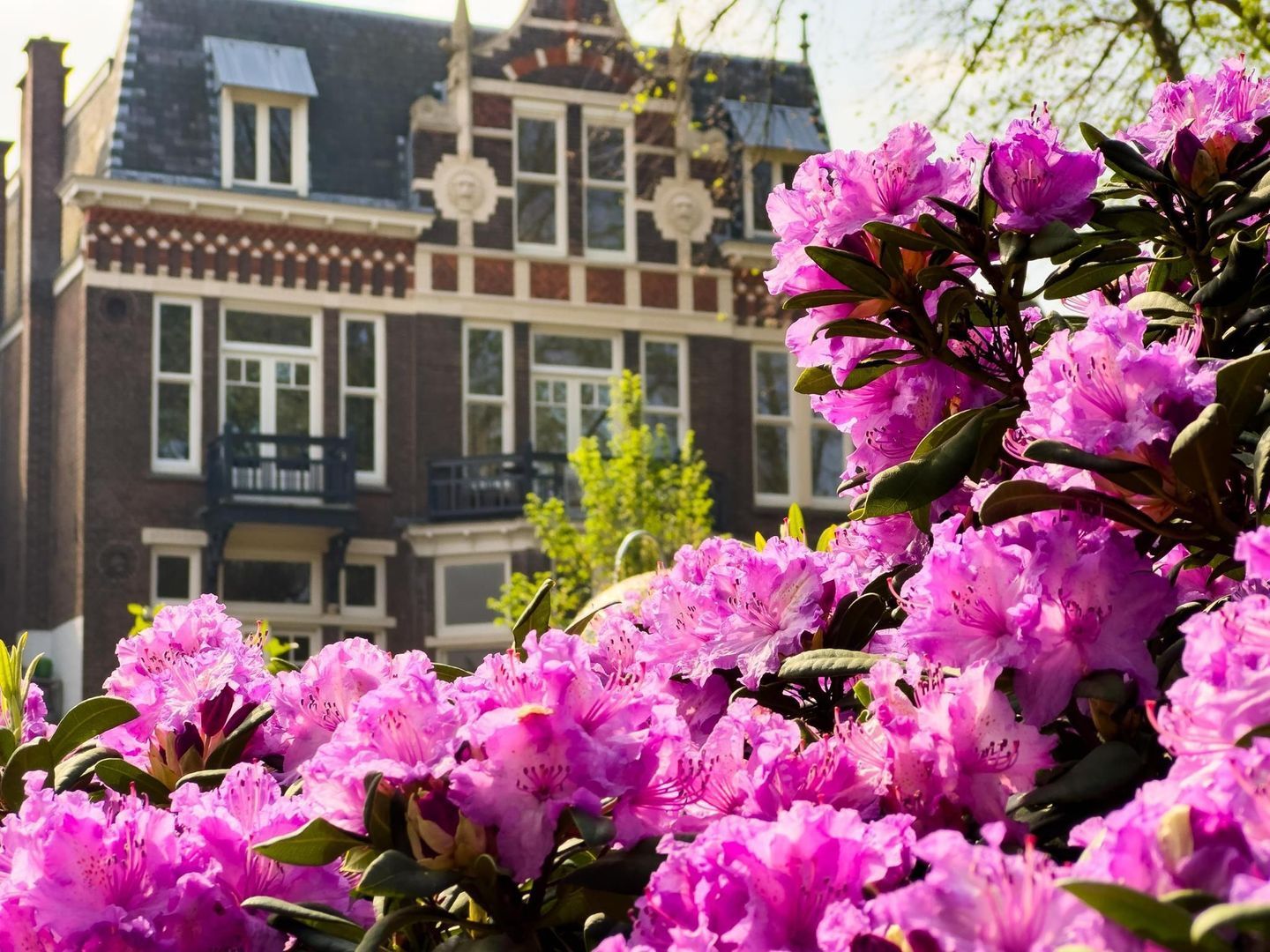 Frederik Hendrikplein 1 B