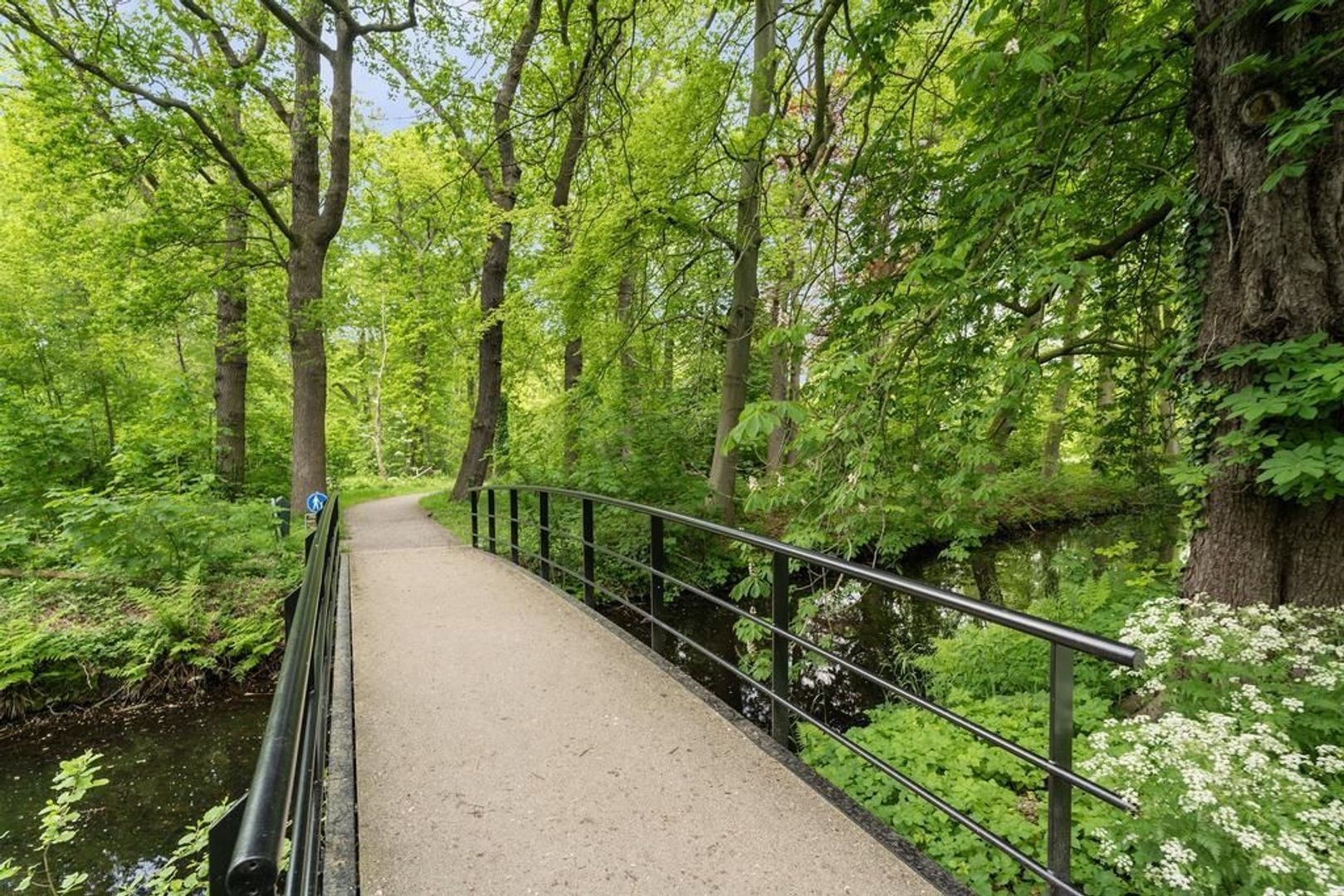 Floris Arntzeniusplein 111