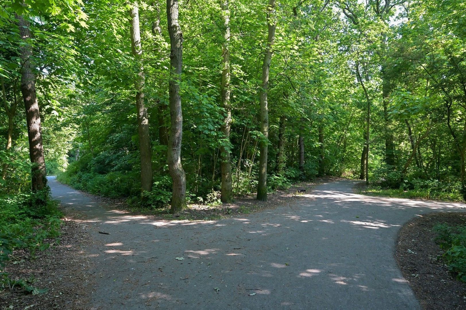 Gerrit Kasteinweg 19