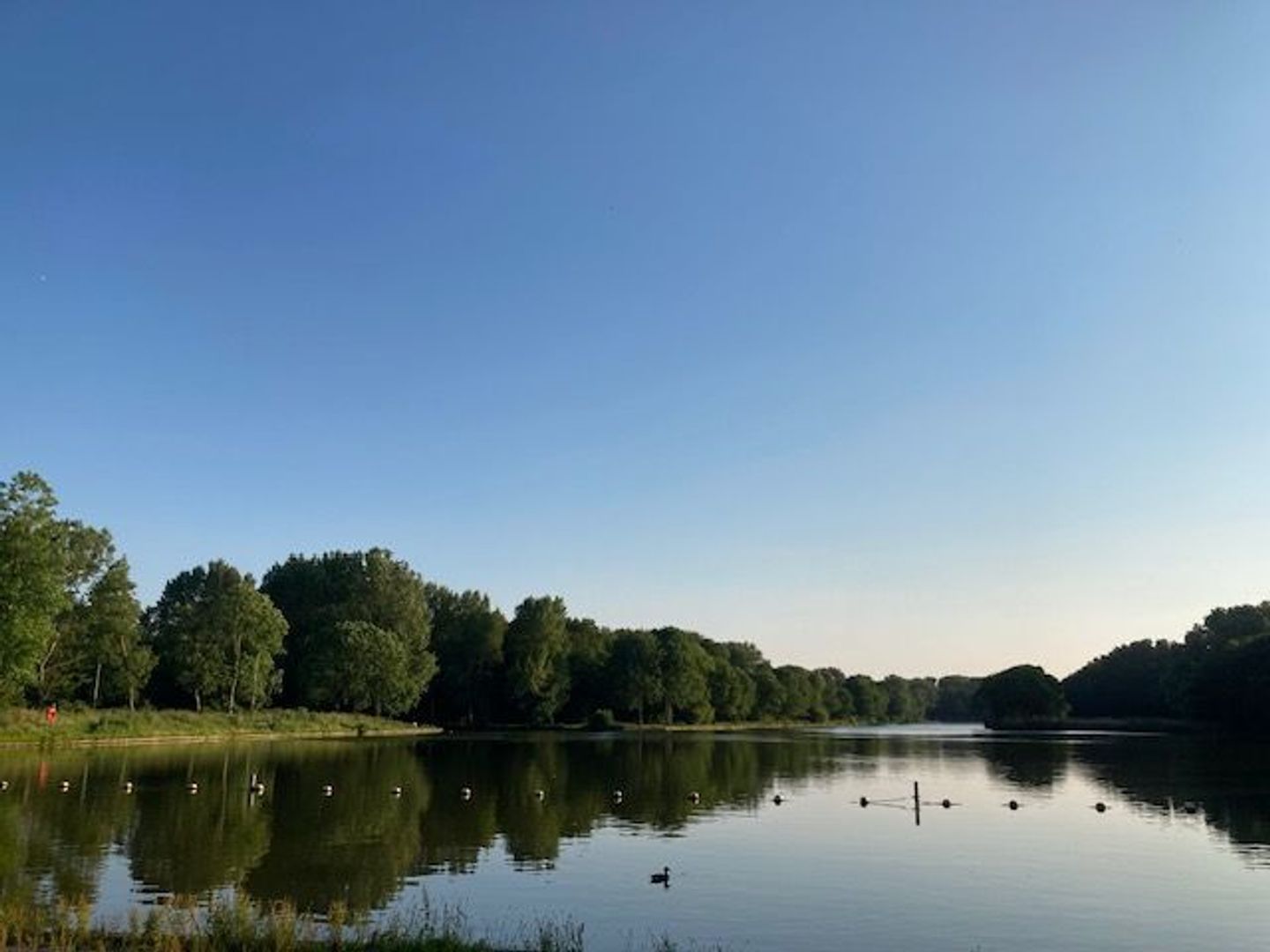 Ernest Hemingwaypark 27