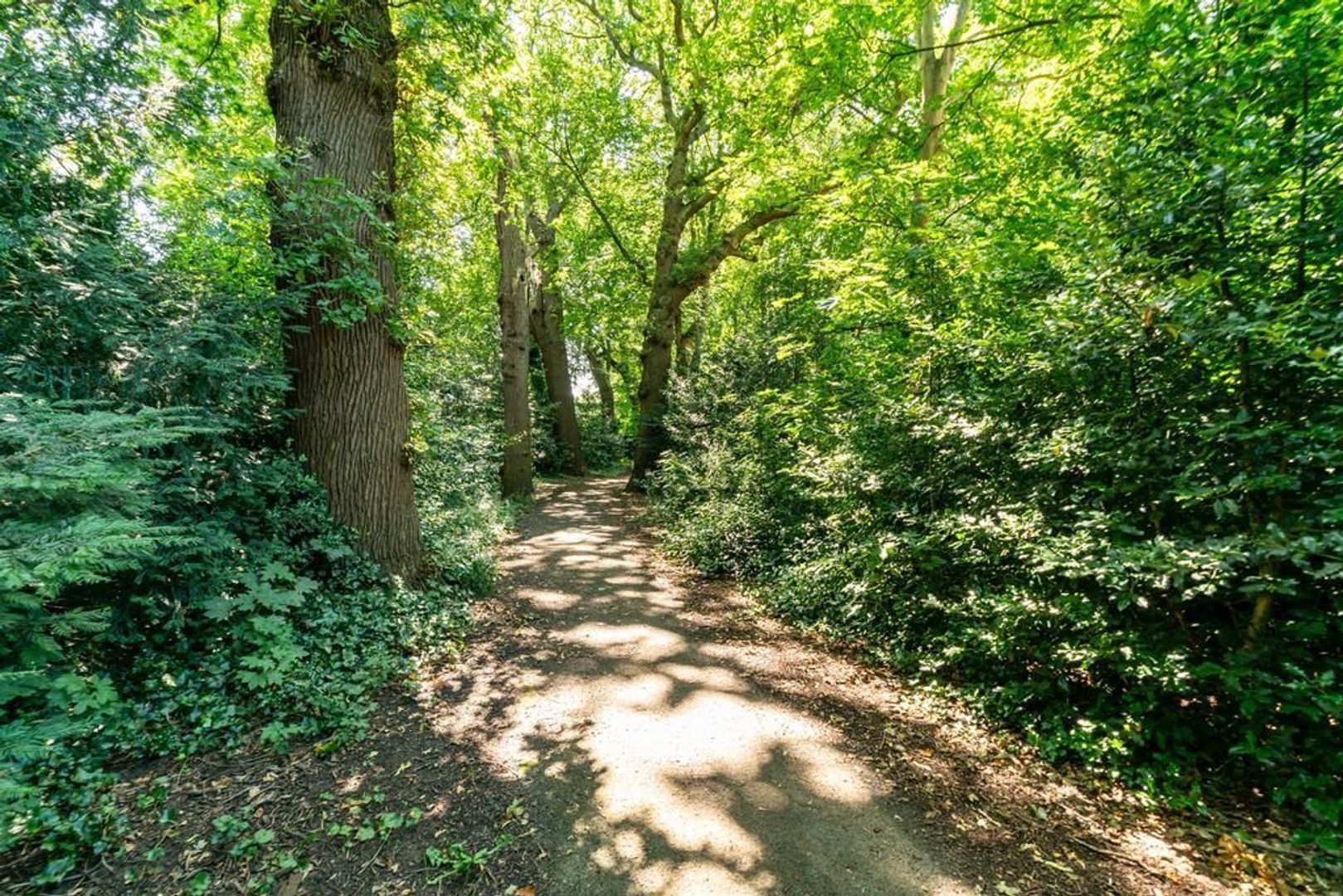 Van Kijfhoeklaan 110