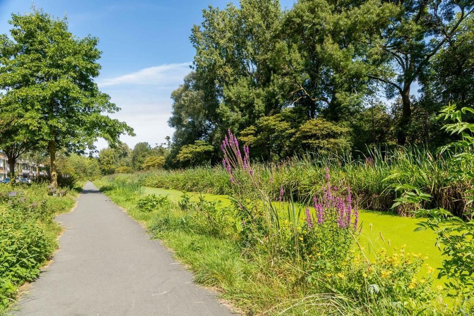 Cornelis van der Lijnstraat 209