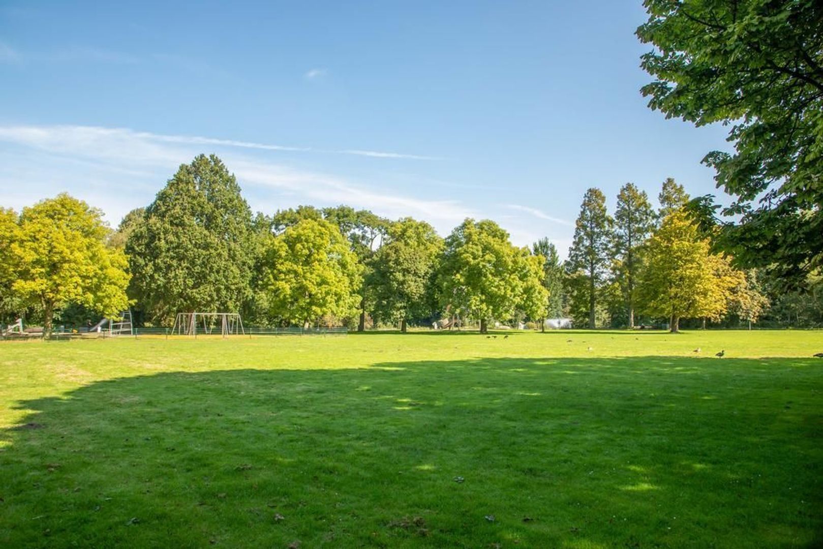 Cornelis van der Lijnstraat 209