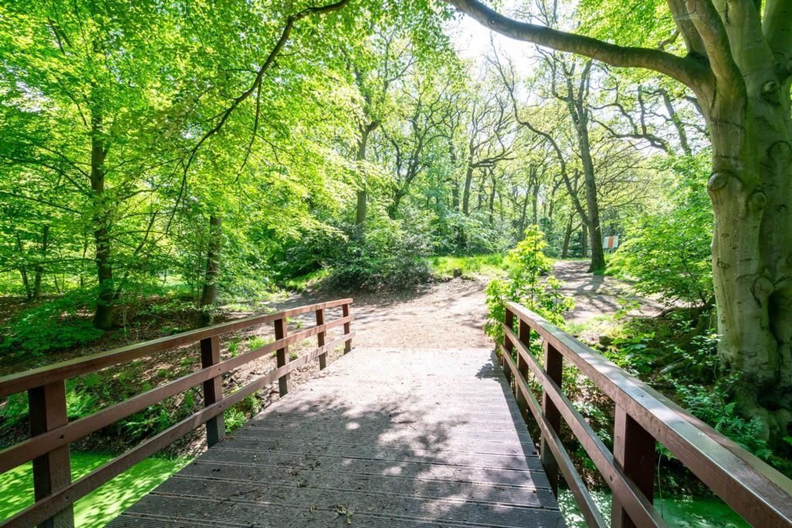 Van Alkemadelaan 350 303