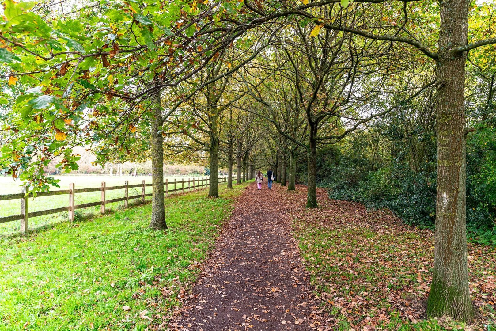 Laan van Clingendael 30