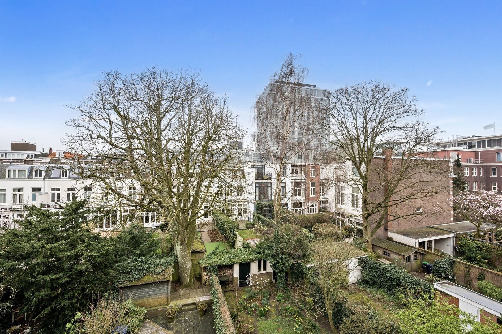 Nassau Dillenburgstraat 15