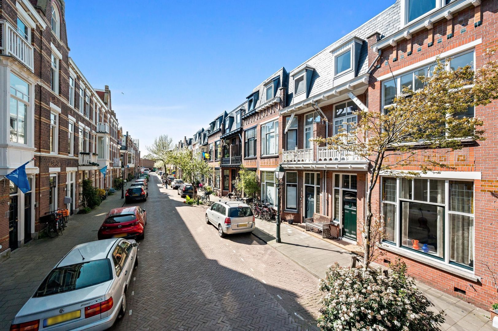 Buijs Ballotstraat 55