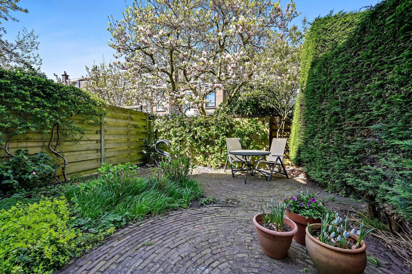 Buijs Ballotstraat 55