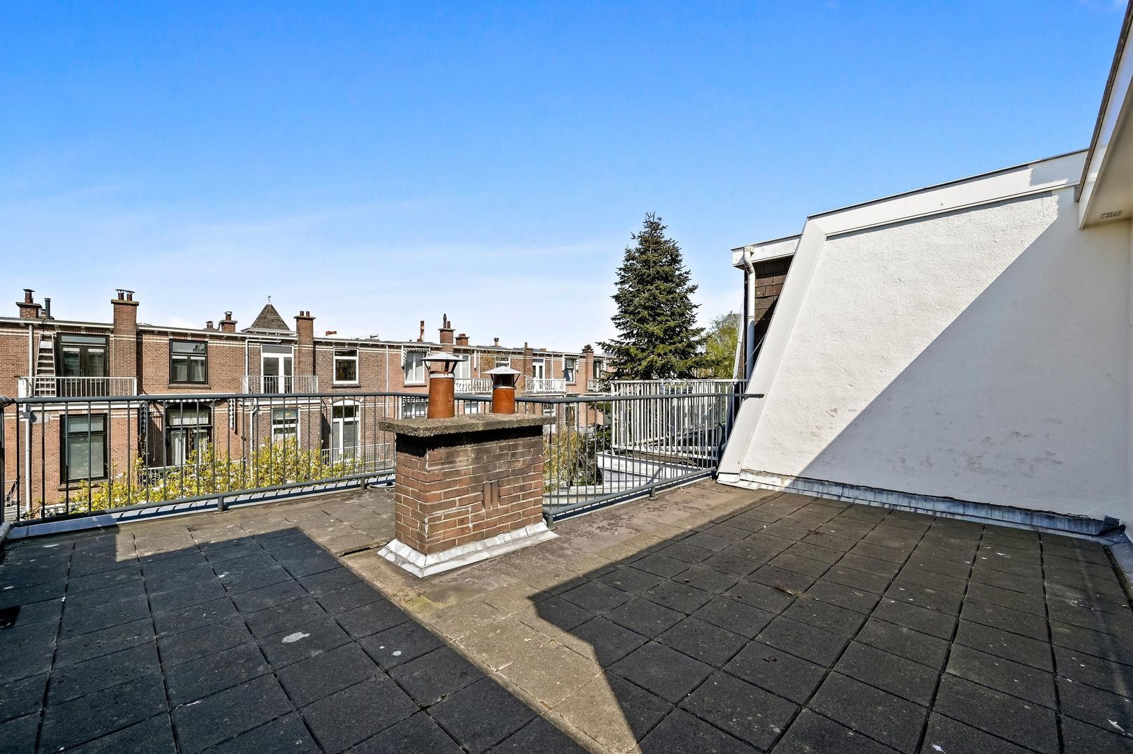 Buijs Ballotstraat 55